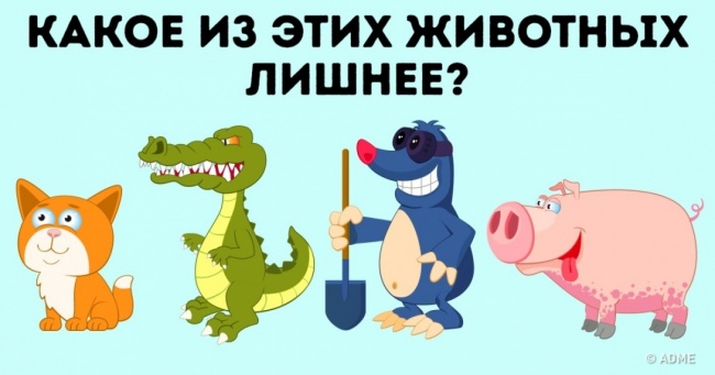 11 завдань, які не так прості, як здається на перший погляд