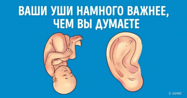 Дізнайтеся, що ваші вуха говорять про вас