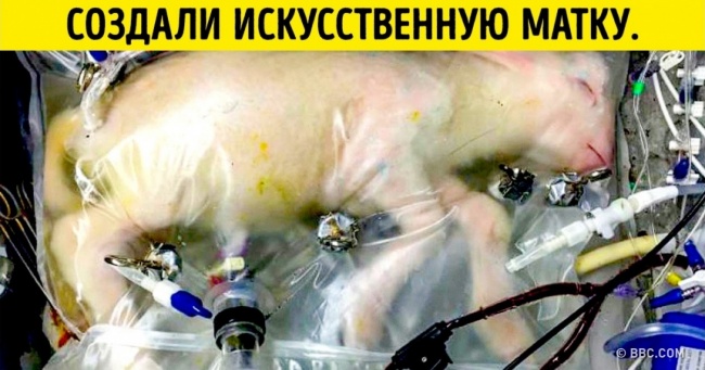 Ми зібрали 13 найважливіших відкриттів і наукових досягнень, які 3 роки тому ніхто б не повірив