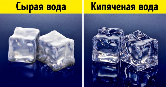 30 фактів про наш світ, які здивують навіть тих, хто думає, що знає все