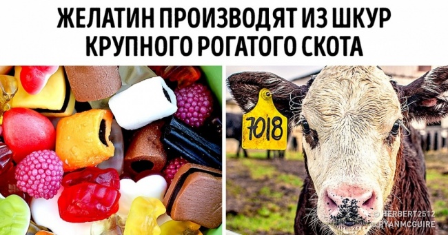 7 речей, які ви навряд чи захочете купувати після того, як дізнаєтеся, з чого їх роблять