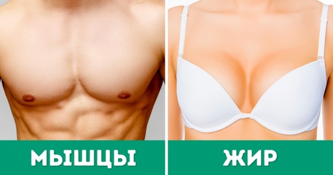 Багато дівчат не здогадуються про 26 особливості жіночого тіла