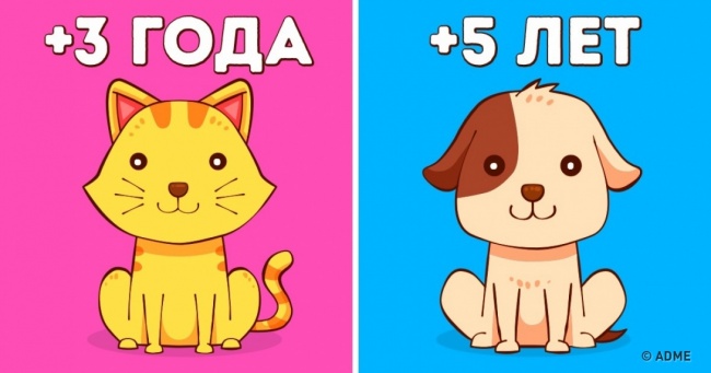 11 способів додати своєму житті пару десятків років