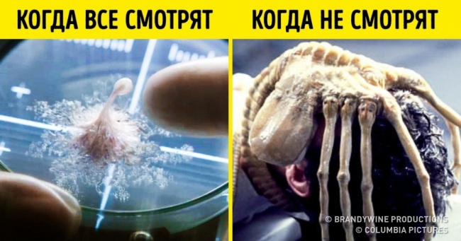17 доказів того, що світ живе за своїми законами і плює на всі теорії вчених