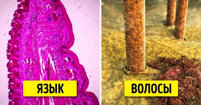 Ми ще ніколи не бачили людини таким, як на цих фотографіях 13