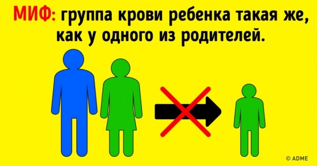 5 життєво важливих причин знати групу крові всіх членів сім'ї