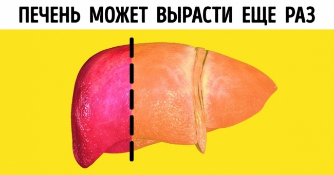 8 доказів того, що наше тіло — ідеальна машина