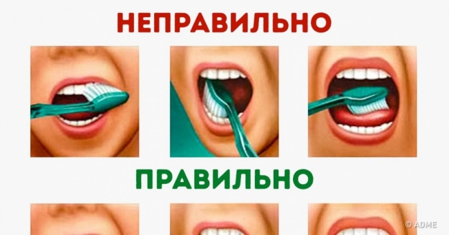 Інформаційна стаття про правильне очищення зубів
