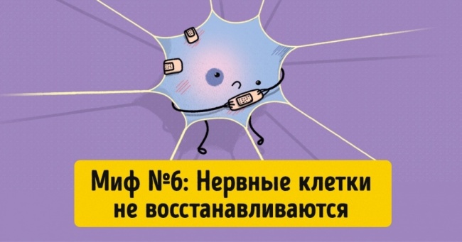 11 фактів про нашому тілі, які виявилися міфами