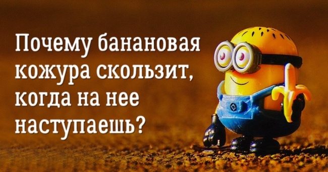 20 чудово дивних наукових досліджень