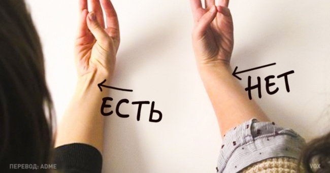 6 доказів еволюції, які збереглися на вашому тілі