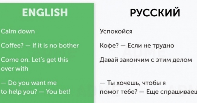 50 розмовних фраз для спілкування англійською