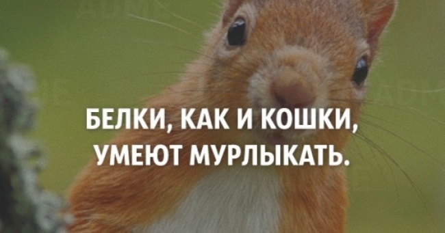 25 коротких фактів про нашому світі