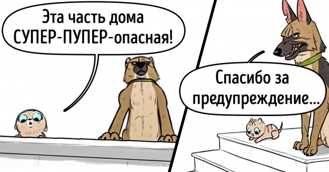 Художник малює комікси про дружбу милого кошеня і брутальною вівчарки, і вони нікого не залишать байдужими