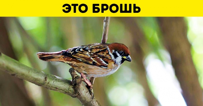 19 крутих товарів для тих, хто вже почав запасатися подарунками до майбутніх свят