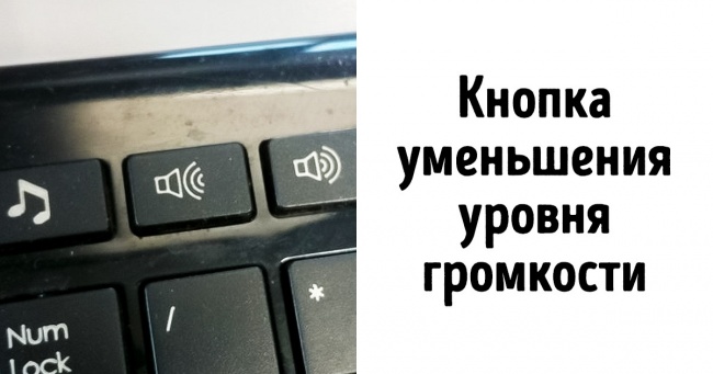 25 виробників, які плювати хотіли на всі ці ваші стандарти