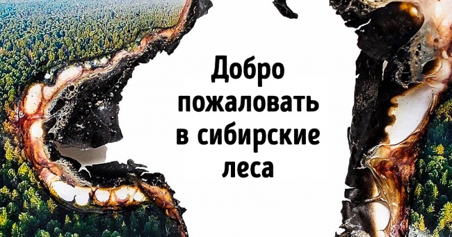 20 свіжих «соціалок», які ми запам'ятаємо надовго