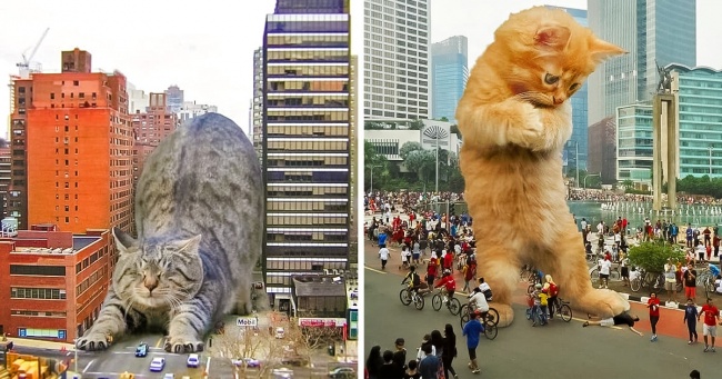 Художник з Індонезії представив, як котики могли б сполошити наш світ, якби вони трохи більше звичайного