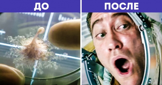 12 фільмів, які закінчилися раніше, якби герої краще тямили