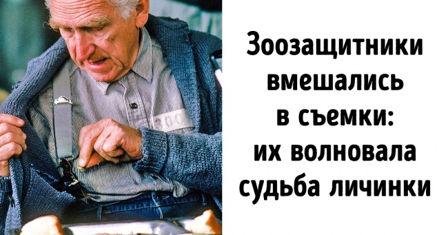 12 фактів зі світу кіно, які відомі лише найпалкішим шанувальникам цього мистецтва