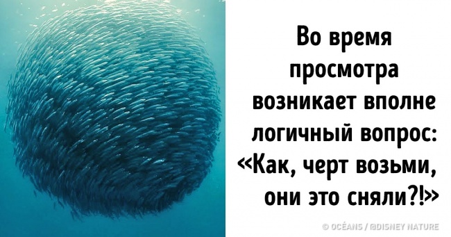 10 документальних фільмів, які перевернуть ваші усталені погляди на світ