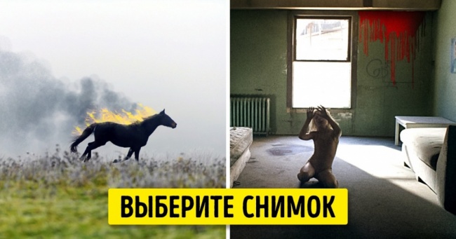 Тест: Хто з 9 культових режисерів насправді знімає ваше життя?