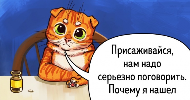 Якщо б наші вихованці могли говорити, вони б з'ясовували стосунки крутіше нашого