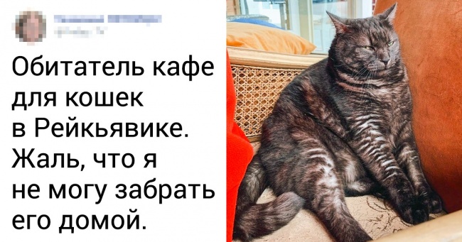 20+ причин почати відкладати гроші на поїздку в Ісландію прямо зараз