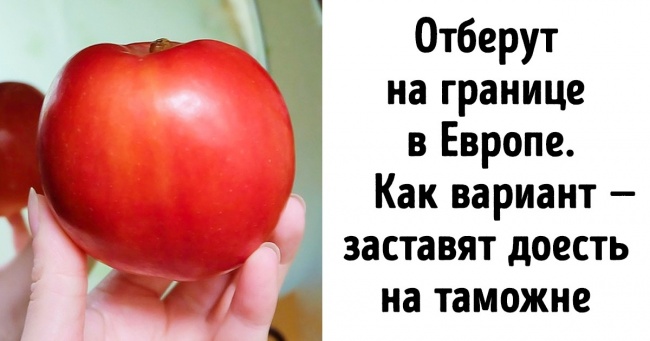 10 нових заборон, про які треба знати в 2020 році, щоб не потрапити в незручну ситуацію за кордоном