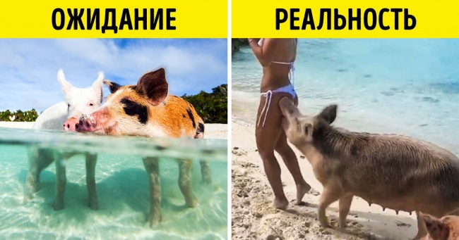 12 місць, які популярні у мандрівників, але можуть сильно обдурити очікування