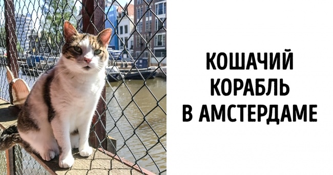 Названі найбільш недооцінені пам'ятки Європи (За версією британських журналістів)