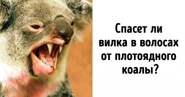 15 фактів про Австралії, які будуть цікавими навіть тим, хто думав, що знає про цю країну все