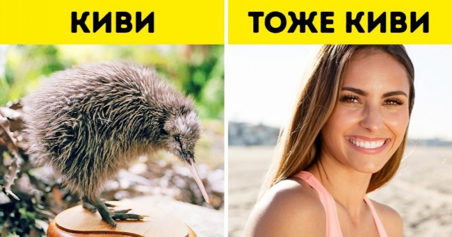 12 речей, які я зрозуміла про Нової Зеландії, проживши тут півтора року