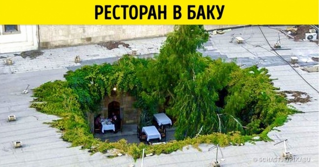 12 ресторанів, в яких їжа — це не головне