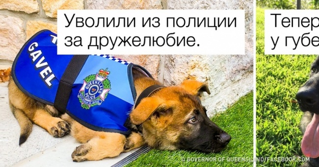 15 чарівних речей, які могли статися тільки в Австралії