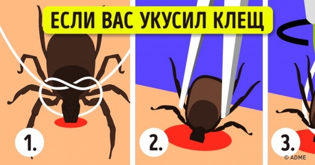 12 правил ідеального відпочинку на природі