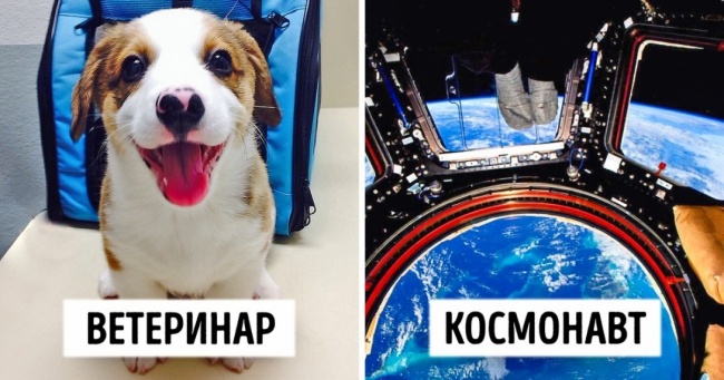 Що бачать з робочого місця люди різних професій