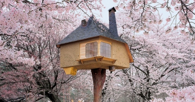 13 дивовижних будинків на деревах, в яких кожен захоче жити