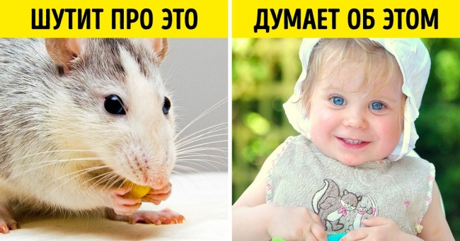 4 прийому від Зігмунда Фрейда, які дозволять дізнатися темні сторони будь-якої людини (І навіть ваші)