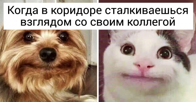 20+ життєвих моментів, які до болю знайомі кожному