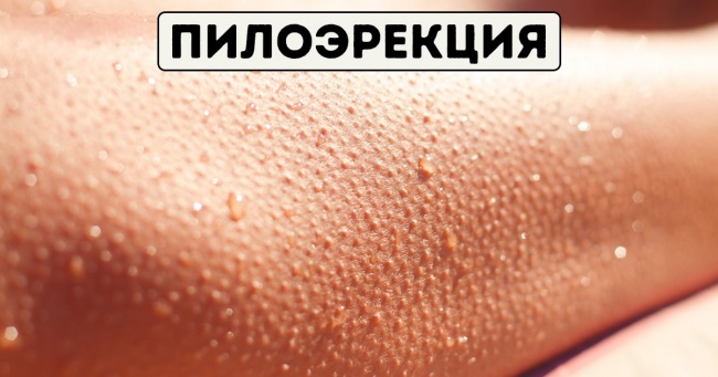 Ми думаємо, що повністю контролюємо своє тіло, але є функції, які нам непідвладні