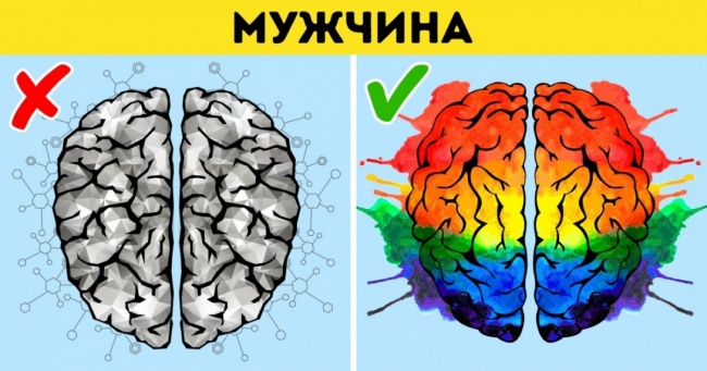 7 науково доведених фактів про чоловічому та жіночому мозку і стереотипи, що пора забути