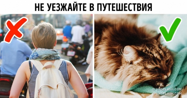 6 жорстких, але робітничих рад, які ми б не дали іншій людині