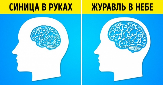 3 коротких запитання, які розкажуть про ваш IQ