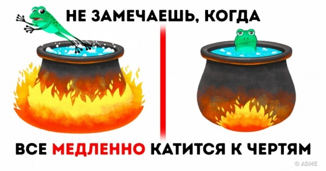 10 психологічних ефектів, які керують нашим життям