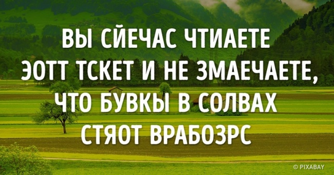 9 речей, що тіло та мозок роблять незалежно від нас