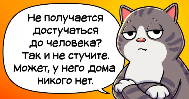 У кота Насіння не буває нудьги і апатії, тому що він слідує своїм правилам життя 11