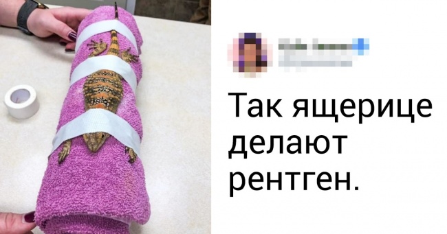 25 фотографій, які за пару хвилин розширять ваші знання про навколишній світ