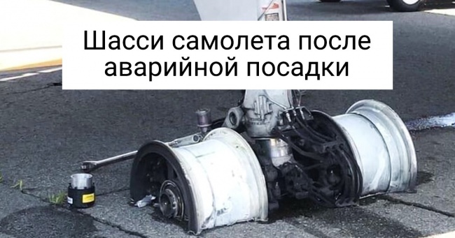 15 знімків, які залишають глядачів у стані легкого ступору