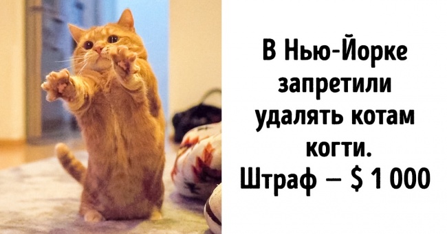 14 новин з усього світу, які доводять, що у людства є шанс виправитися
